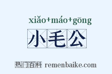 小毛公是什么意思的图片